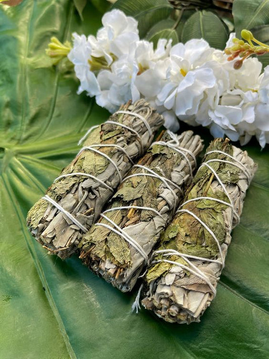 Indian Sage Incense Bundles For Cleansing