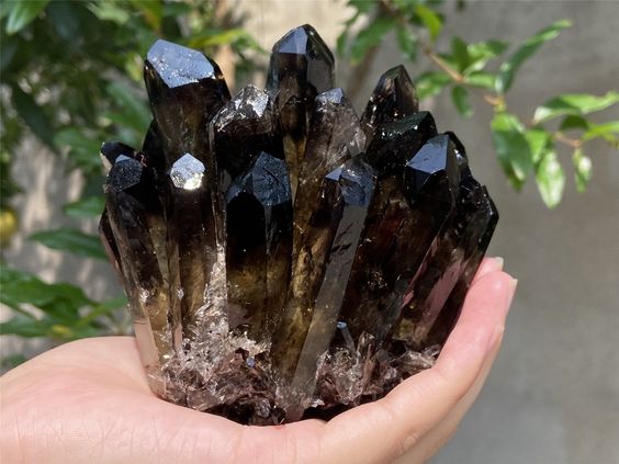 Smoky Quartz Cluster