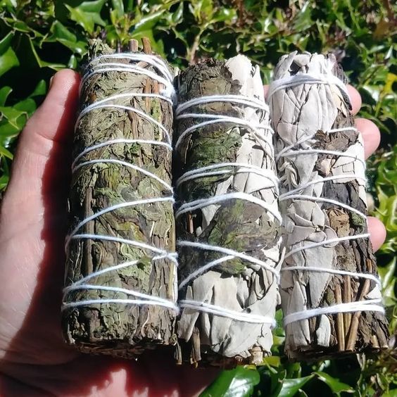 Indian Sage Incense Bundles For Cleansing